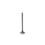 DNJ Engine Intake Valve P/N:IV828