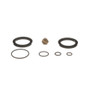 Standard Ignition Fuel Filter Primer Housing Seal Kit P/N:PHS1
