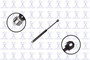 Focus Auto Parts Hood Lift Support P/N:84417