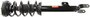 Monroe Shocks & Struts Suspension Strut and Coil Spring Assembly 572665