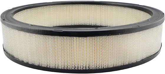 Baldwin Engine Air Filter P/N:PA2002