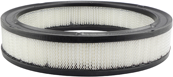 Baldwin Engine Air Filter P/N:PA2005