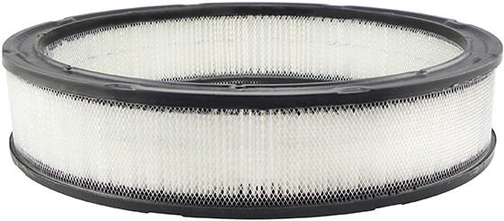 Baldwin Engine Air Filter P/N:PA2010