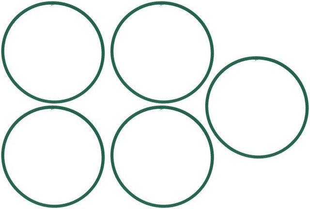 MAHLE Fuel Injection Plenum Gasket Set P/N:MS19363