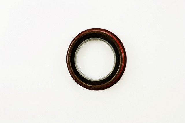 Pioneer Automotive Industries Automatic Transmission Oil Pump Seal P/N:759012