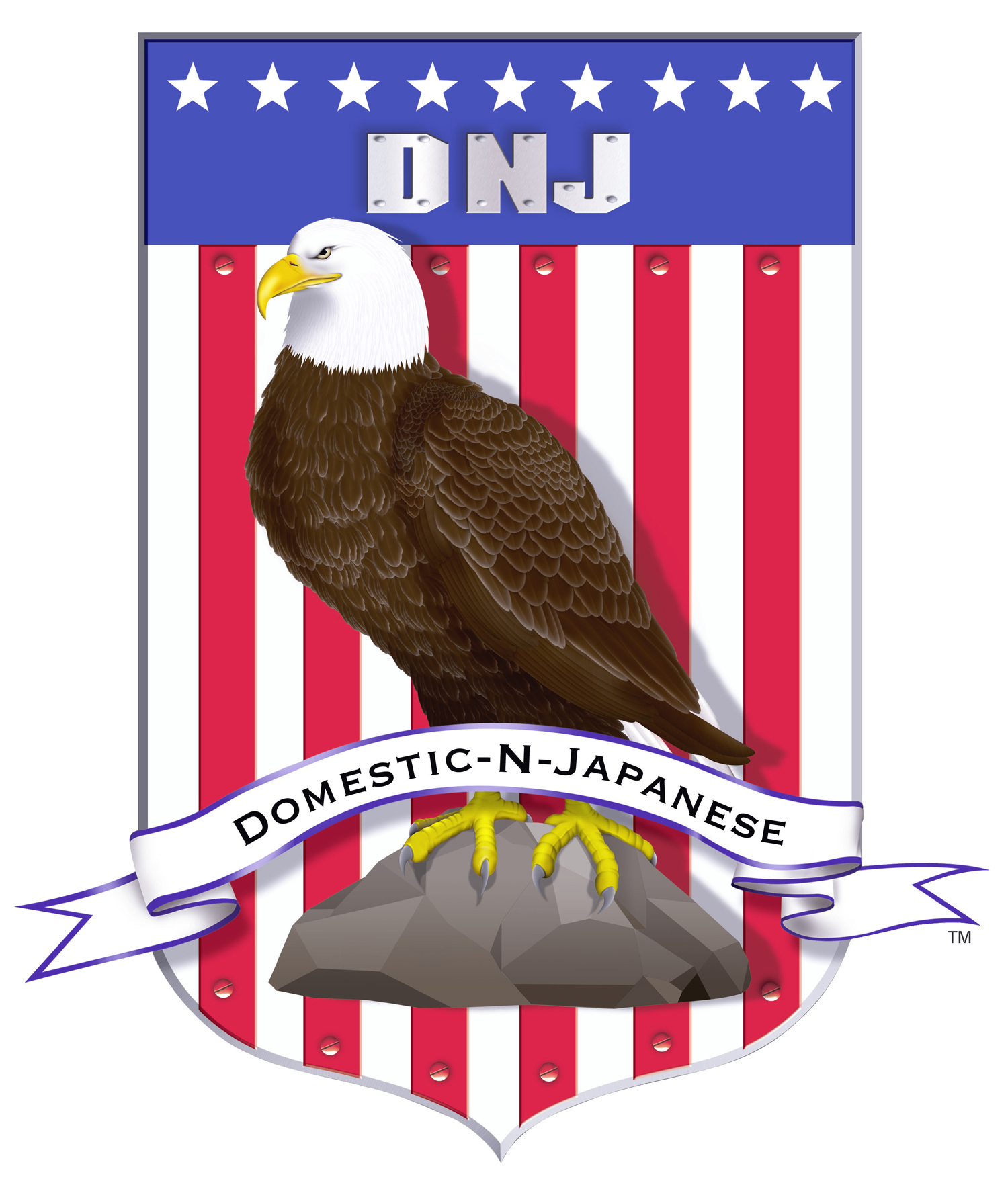 DNJ Engine Piston Ring Set P/N:PR3165