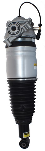 Westar Air Suspension Strut P/N:AS-7383