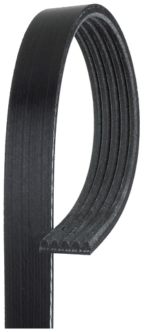Gates Serpentine Belt P/N:K050435