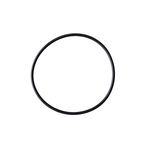 Carter Fuel Pump Tank Seal P/N:PTS2043