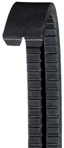 Dayco Accessory Drive Belt P/N:2B17670