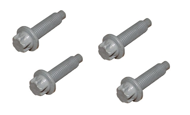 Rein Engine Mount Bracket Bolt Set P/N:HWK0033
