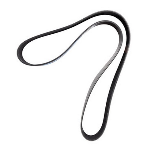 Dayco Serpentine Belt P/N:5100608