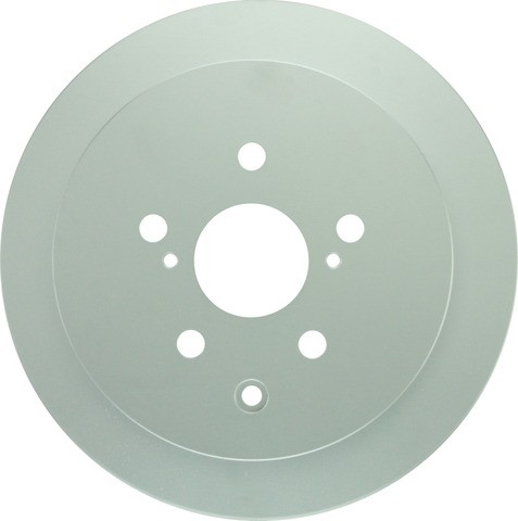 Bosch Disc Brake Rotor P/N:50011501