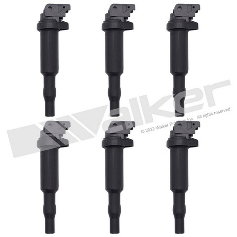 Walker Products Ignition Coil Set P/N:928-4098-6