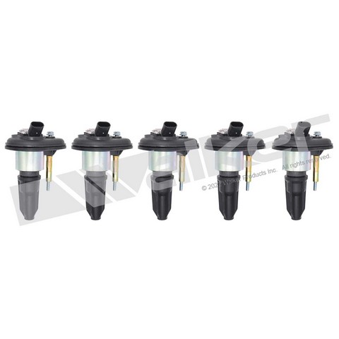 Walker Products Ignition Coil Set P/N:928-4054-5