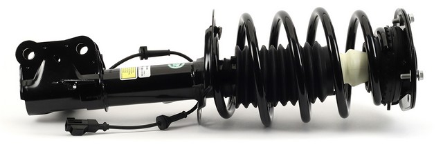 Arnott Industries Suspension Strut and Coil Spring Assembly P/N:SK-3599