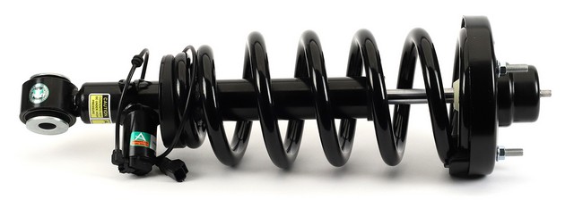 Arnott Industries Suspension Strut and Coil Spring Assembly P/N:SK-3628