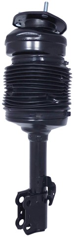 Westar Air Suspension Strut P/N:AS-7388