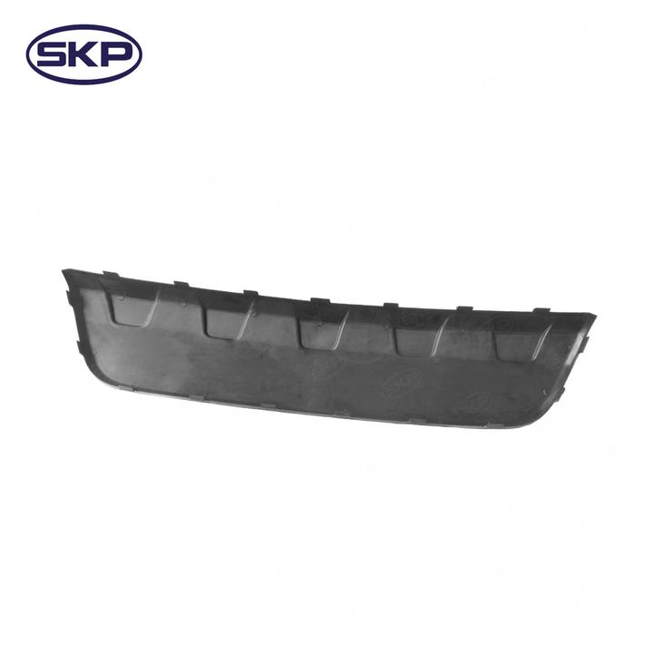 SKP Valance Panel P/N:SK601563