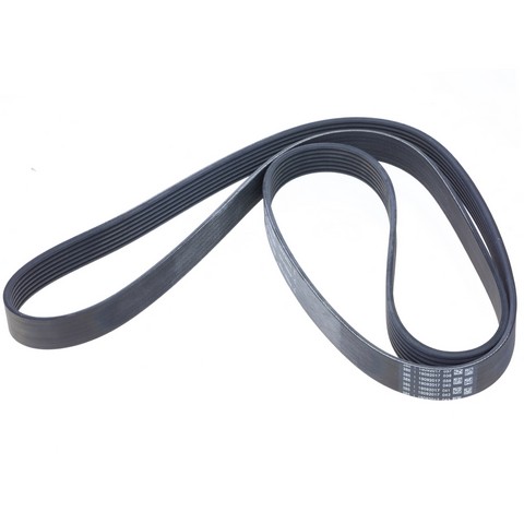 INA US Serpentine Belt P/N:FB6K789