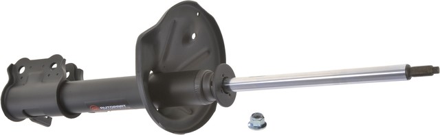 Autopart International Suspension Strut Assembly P/N:2701-316361