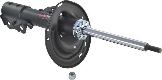 Autopart International Suspension Strut Assembly P/N:2701-423370