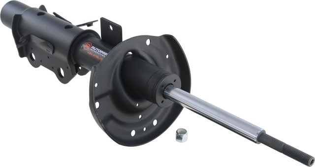 Autopart International Suspension Strut Assembly P/N:2701-424211