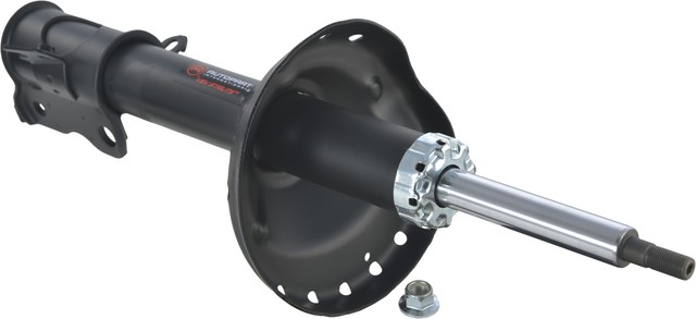 Autopart International Suspension Strut Assembly P/N:2701-460098
