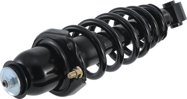 Suspension Strut and Coil Spring Assembly-Pro-strut Rear Right Autopart Intl