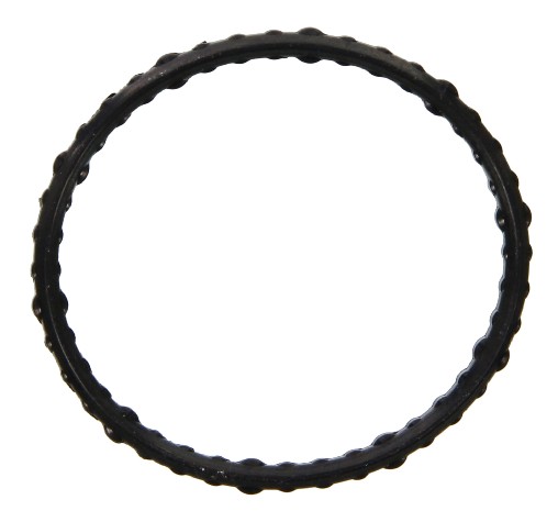 THERMOSTAT GASKET