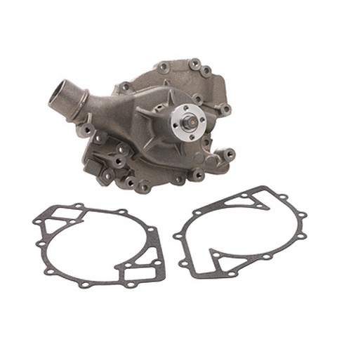 Dayco Engine Water Pump P/N:DP811