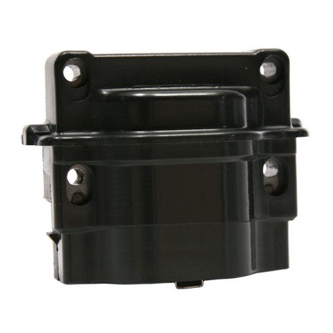 Delphi Ignition Coil P/N:GN10216