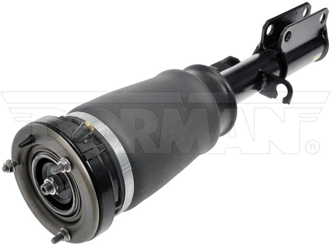Suspension Air Strut fits 2000-2006 BMW X5  DORMAN OE SOLUTIONS