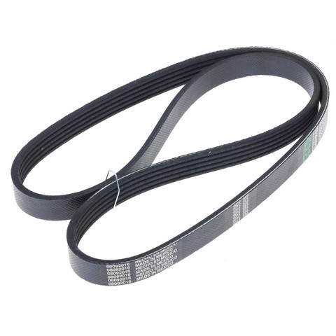 INA US Serpentine Belt P/N:FB5K402