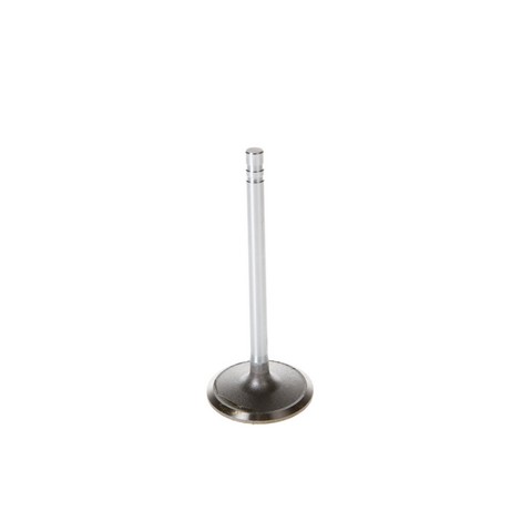Engine Intake Valve fits 1967 Pontiac Bonneville,Catalina,Executive,Grand Prix E
