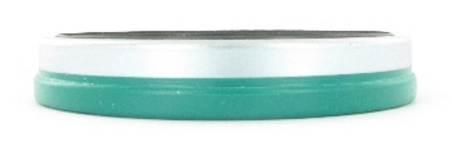 Wheel Seal fits 1980-1981 GMC C5000,C6000 C6000,C7000  SKF (CHICAGO RAWHIDE)