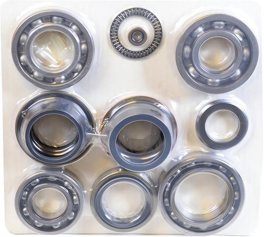 SKF Transfer Case Overhaul Kit P/N:STCK4417