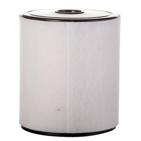 Air Filter-Eng Code: CPNB PGI EXTENDED LIFE PA9988
