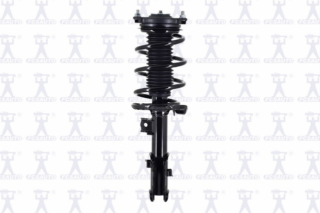 Suspension Strut and Coil Spring Assembly
