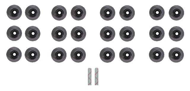 FEL-PRO Engine Valve Stem Oil Seal Set P/N:SS 71327