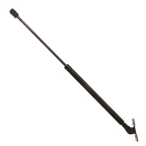 TRW Hood Lift Support P/N:TSG230061