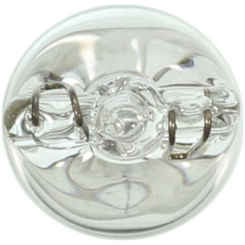 Step / Courtesy Light Bulb