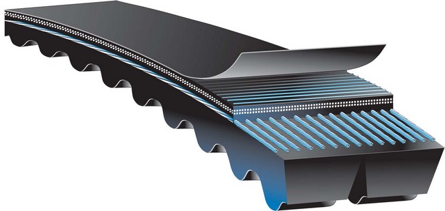 Gates Accessory Drive Belt P/N:2/5VX800