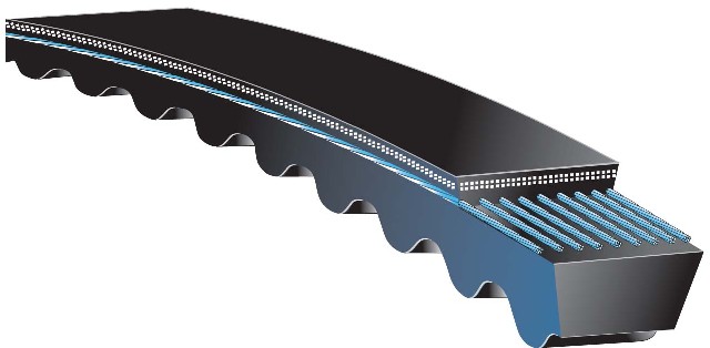 Gates Accessory Drive Belt P/N:AX31