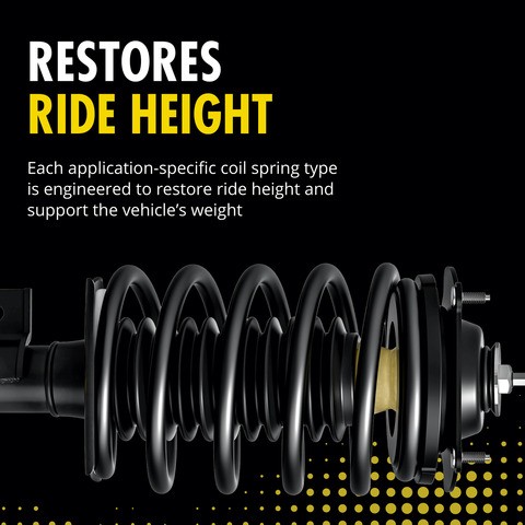 Monroe Shocks & Struts Suspension Strut and Coil Spring Assembly P/N:172954