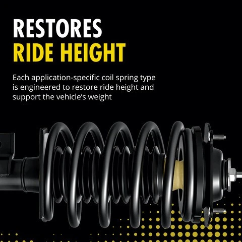 Monroe Shocks & Struts Suspension Strut and Coil Spring Assembly P/N:273282