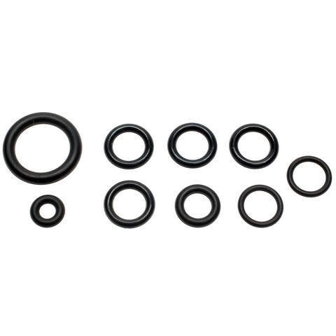 Standard Ignition Fuel Injection Fuel Rail O-Ring Kit P/N:SK24