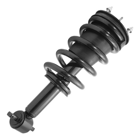 Unity Automotive Suspension Strut and Coil Spring Assembly P/N:11660
