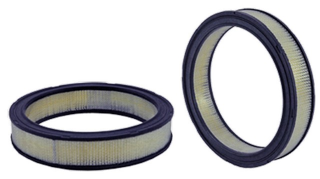 Wix Engine Air Filter P/N:42067