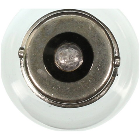 Back Up Light Bulb Wagner Lighting 1141